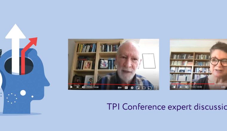 Screenshot of video discussion